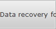 Data recovery for New Iberia data